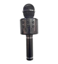 ( 5 adet ) Karaoke mikrofonlu bluetooth aux usb hafıza kart destekli hoperlör